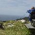 thumb_image153.jpg